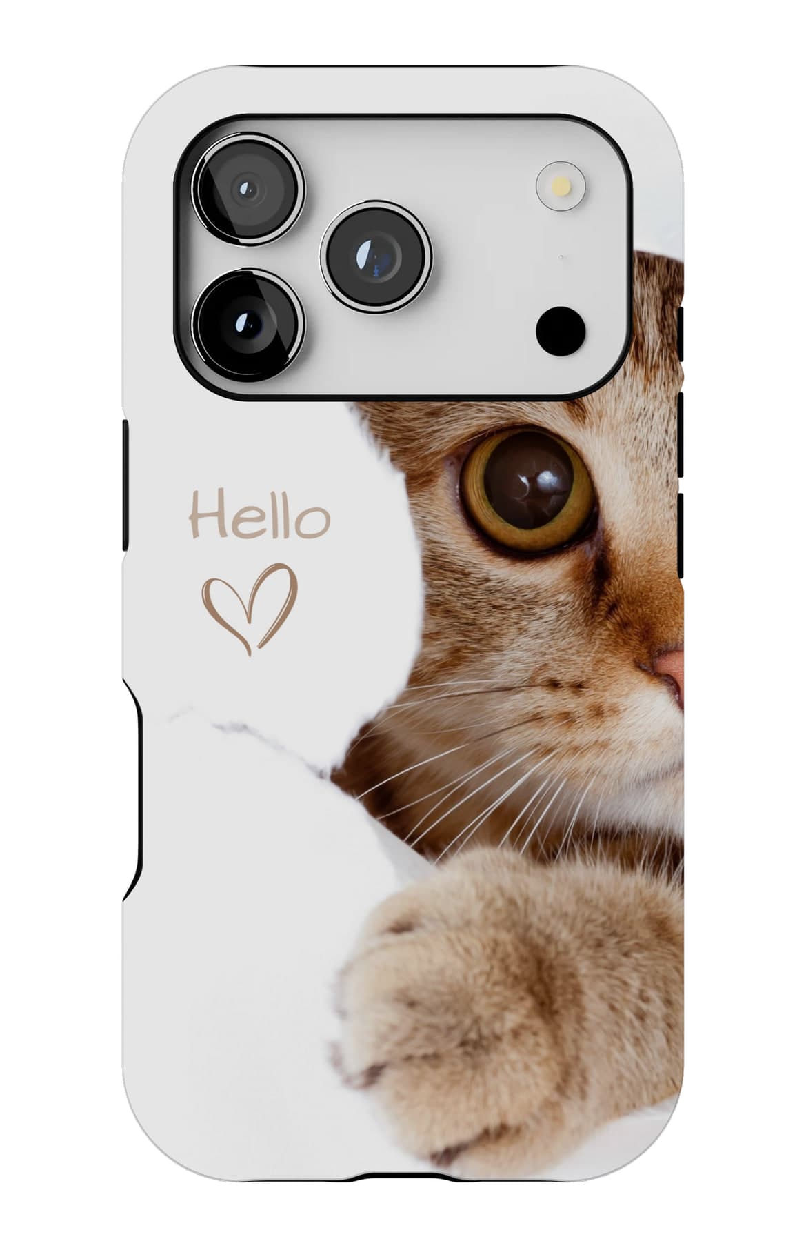 A tabby kitten looking up to say hello. Shown on an iPhone.