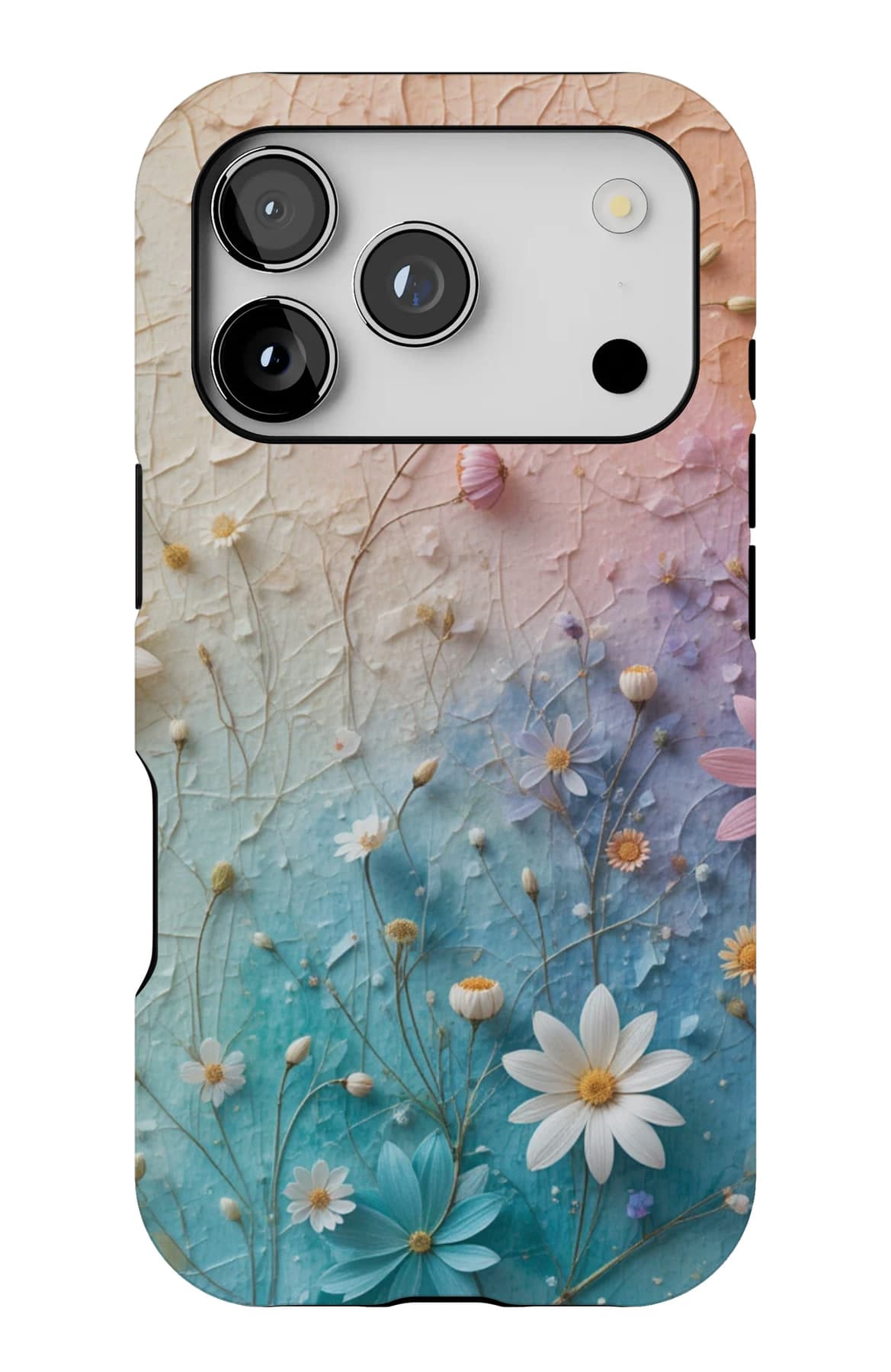 White daisies on pink plaster. Shown on an iPhone.